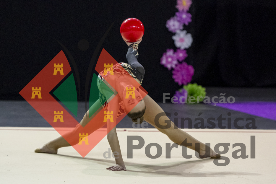 1643_Taça de Portugal GR